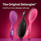 Wet Brush Detangler Hair Brush with IntelliFlex Bristles – Black Frost